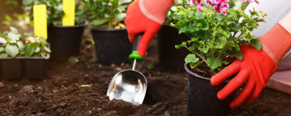 Accessoires de jardin